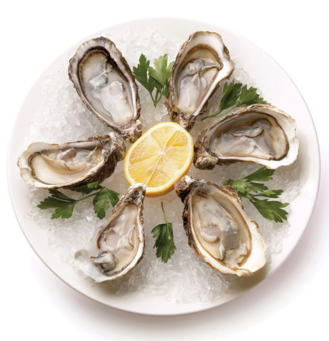 9" Oyster Plate - Image 2