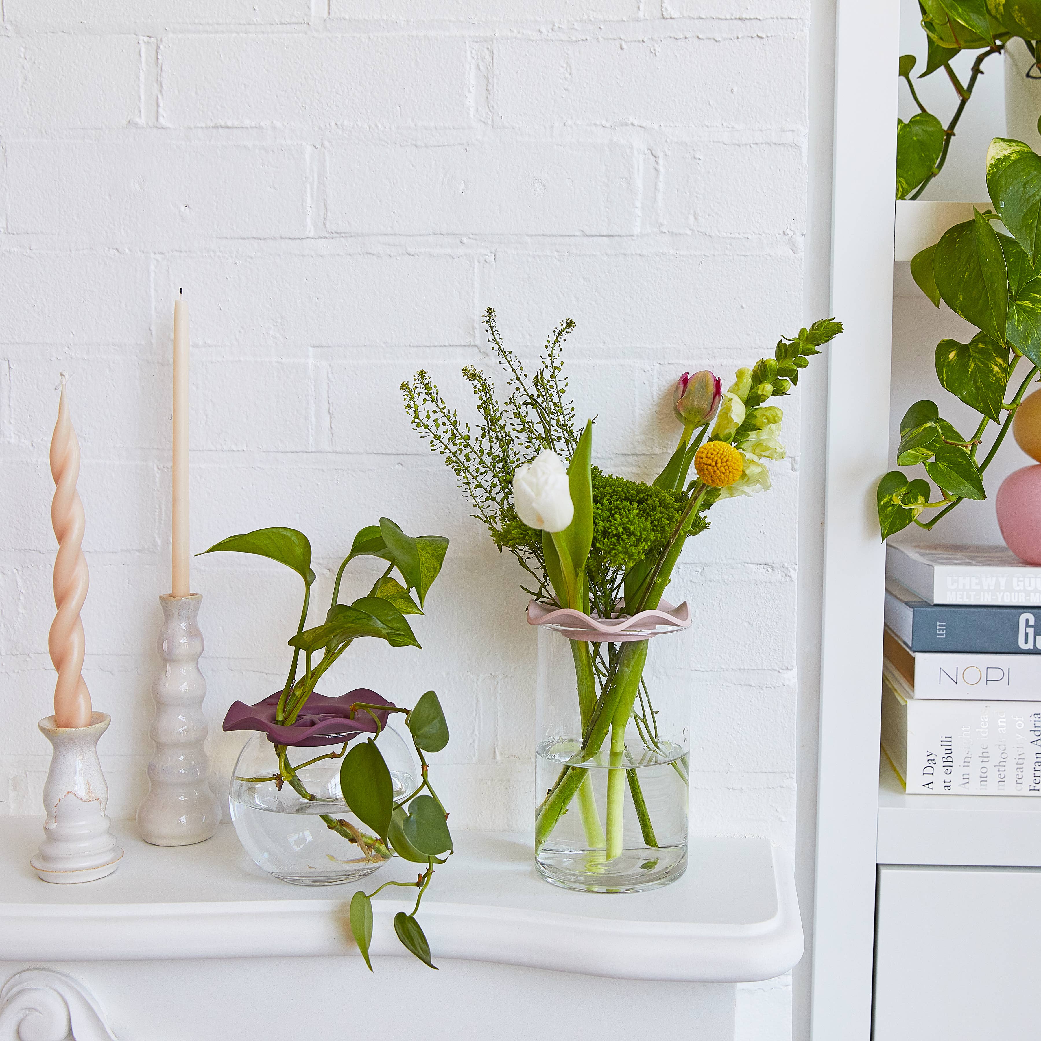 Botanical Keepers - Set of 2 - Image 7