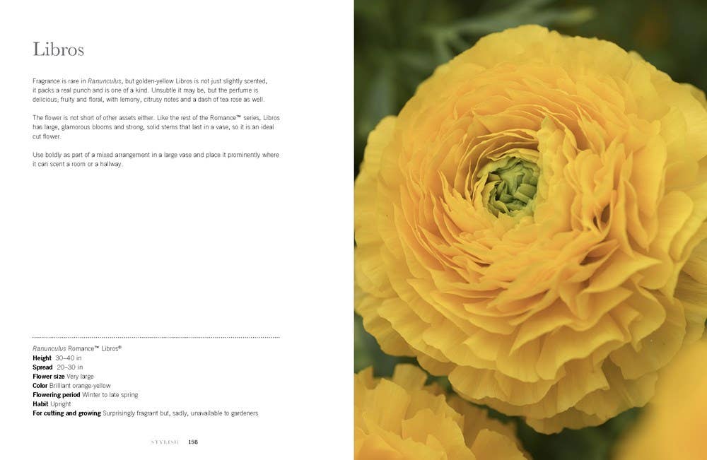 Ranunculus Hardcover Book: Beautiful varieties for home and garden - Image 5