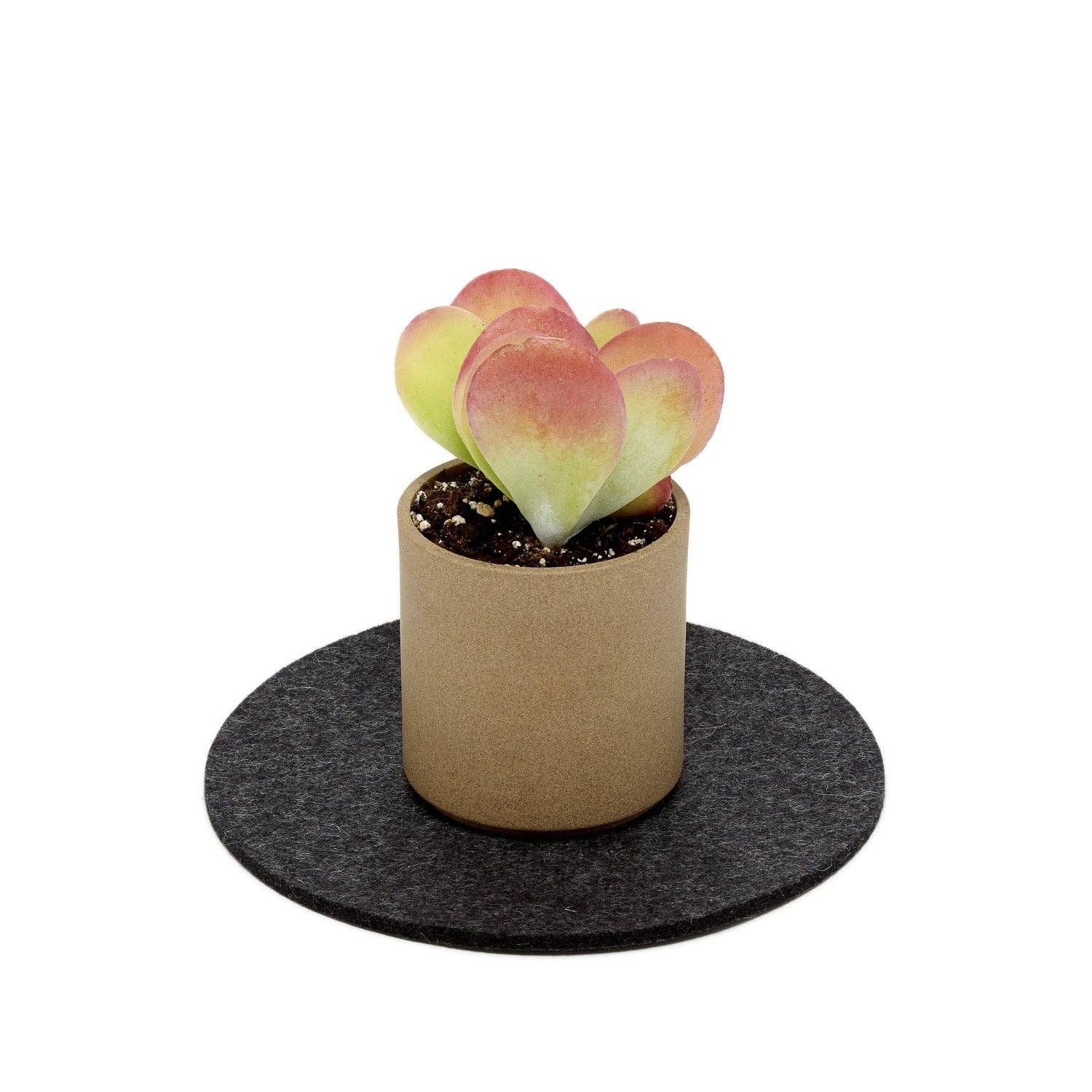 Round Merino Wool Felt Trivet 8": Charcoal